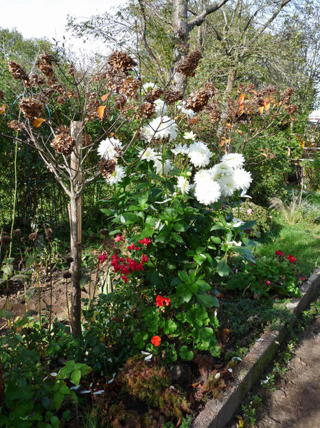  - 2022 - 03 - Toamna