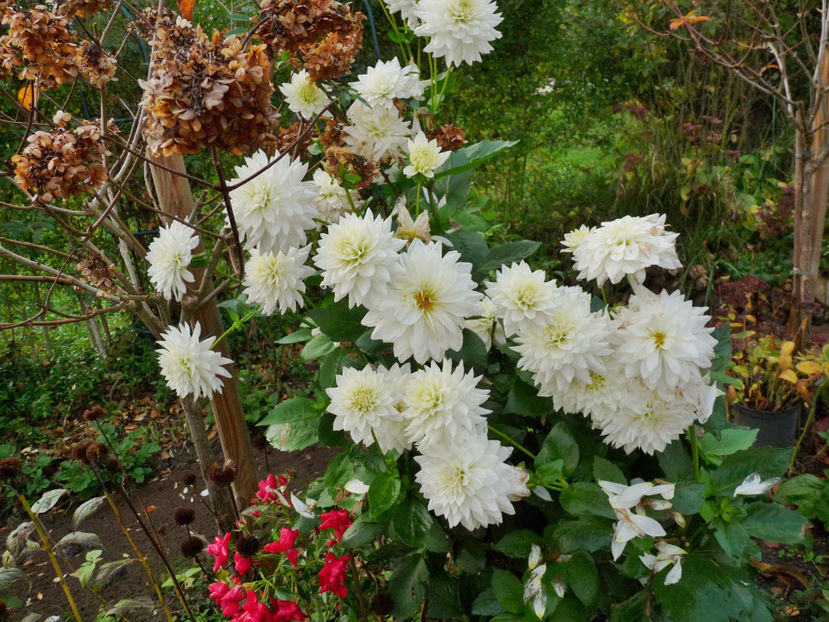  - 2022 - 03 - Toamna