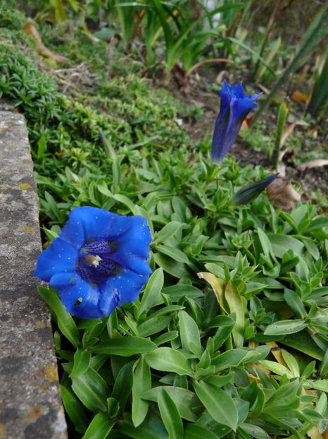  - 2022 - 03 - Toamna