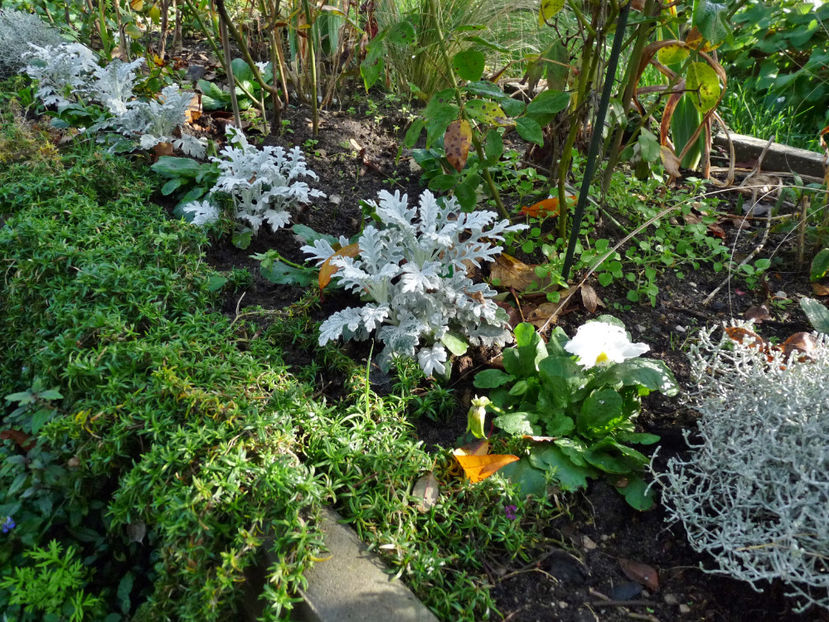  - 2022 - 03 - Toamna