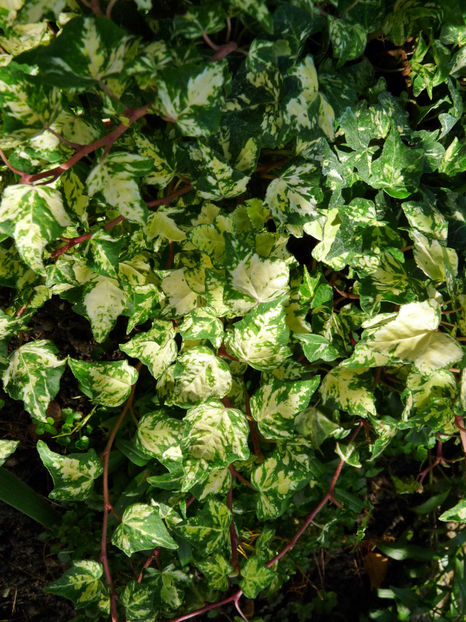  - 2022 - 03 - Toamna