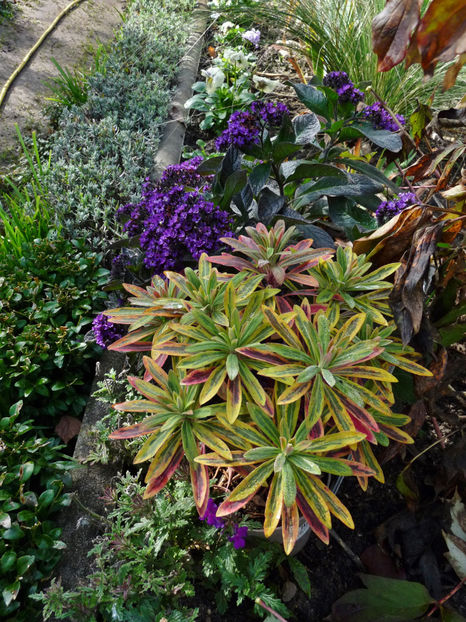  - 2022 - 03 - Toamna