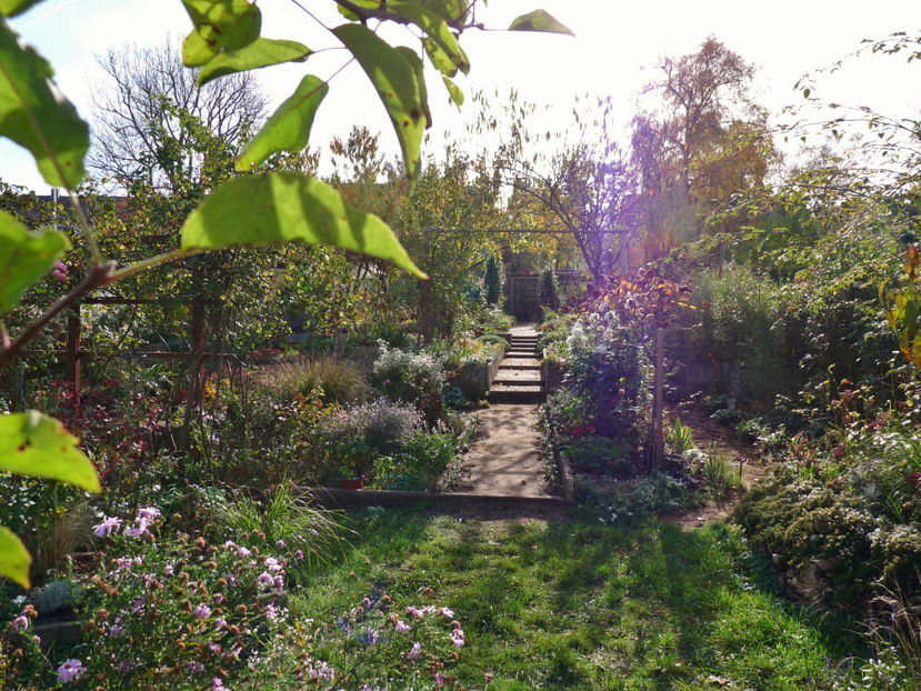  - 2022 - 03 - Toamna