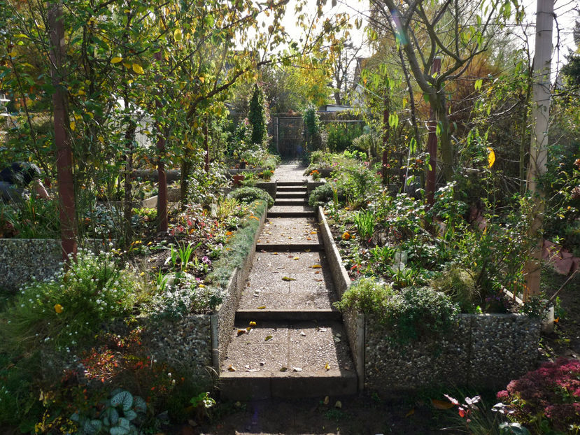  - 2022 - 03 - Toamna