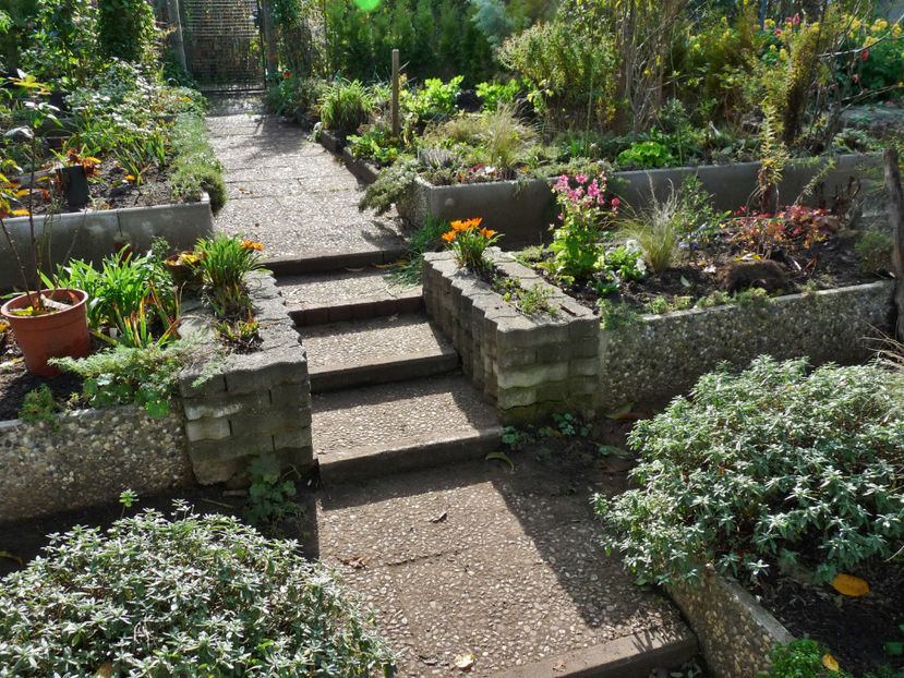  - 2022 - 03 - Toamna