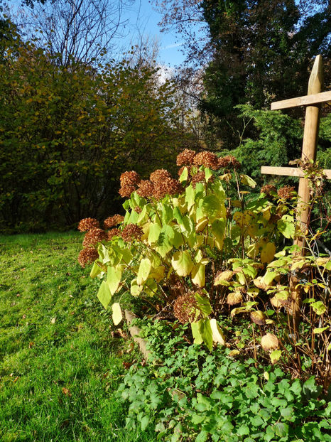  - 2022 - 03 - Toamna