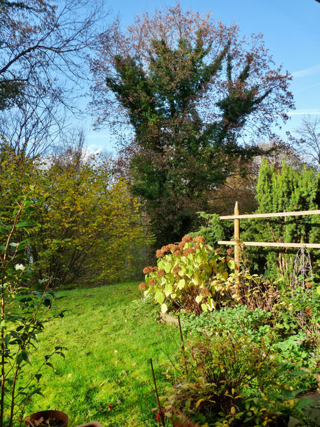  - 2022 - 03 - Toamna