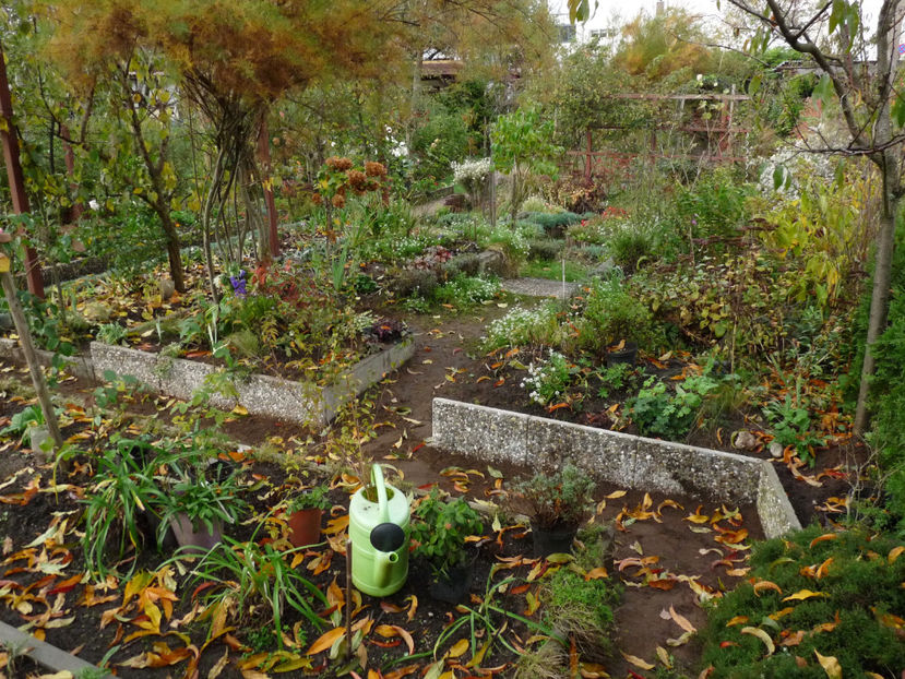  - 2022 - 03 - Toamna