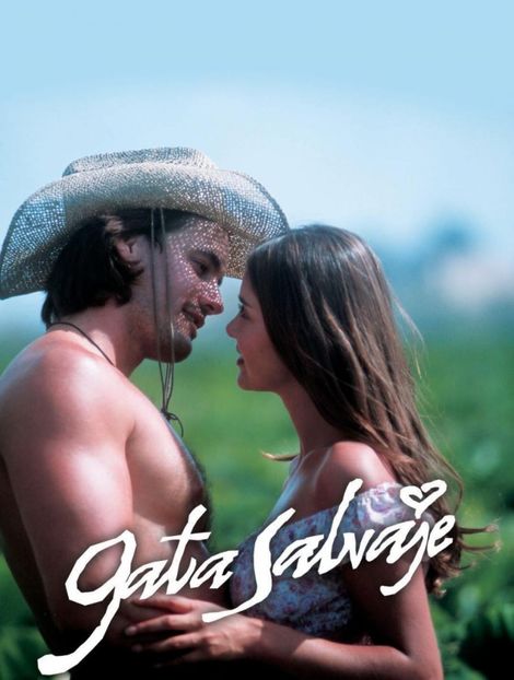 Gata salvaje - Protagonistas de telenovelas