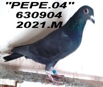 2021.630904 -F - 2 MATCA 2023