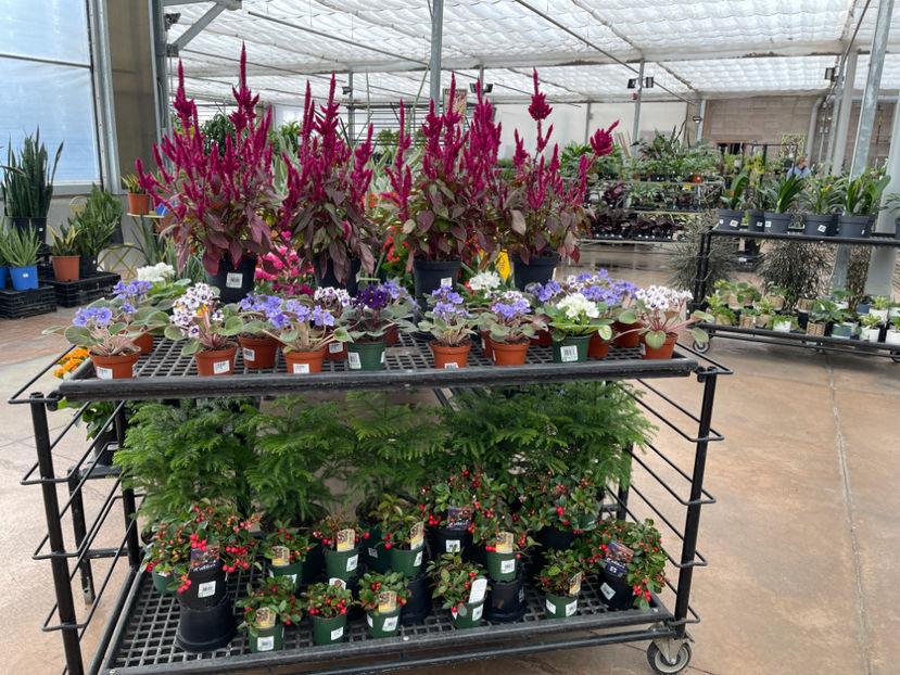  - Greengate Garden Centres