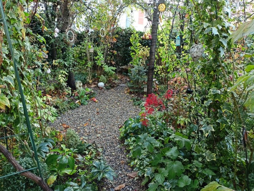  - Grădina 2022 continuare 4