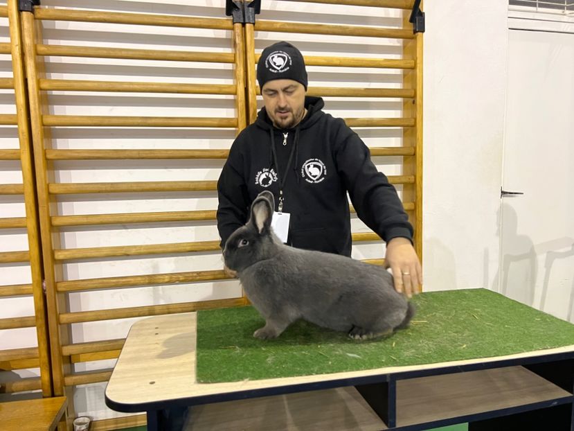 C7D67D90-F8B4-457F-8378-90EC194AC337 - Expoziția Cupa Transilvaniei 11-13-11-2022 Fagaras