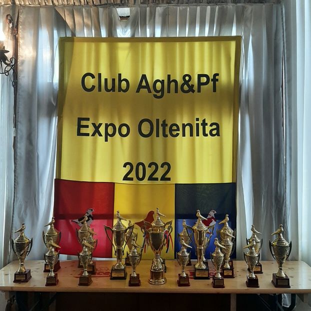  - Expo Oltenita 2022