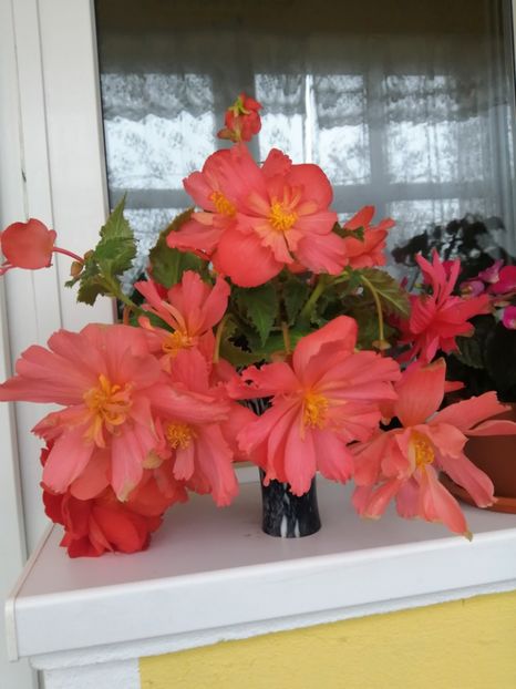  - Frumuseti la casa parinteasca