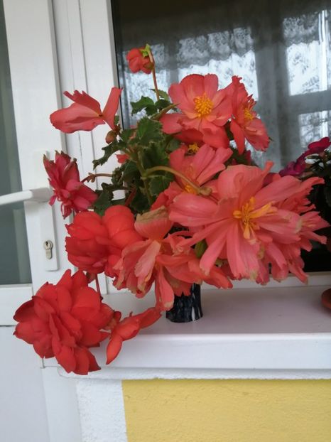  - Frumuseti la casa parinteasca