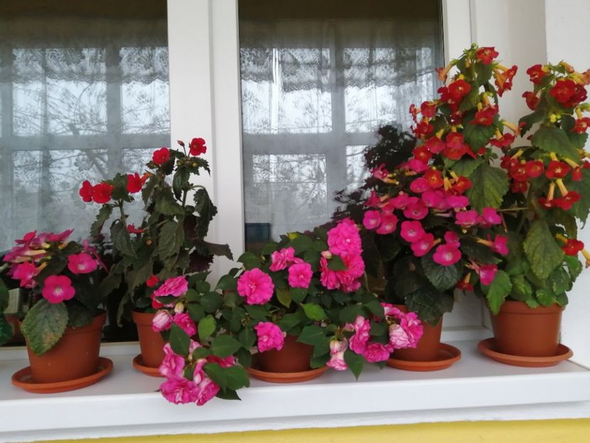  - Frumuseti la casa parinteasca