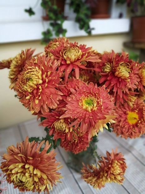  - Crizanteme si tufanele