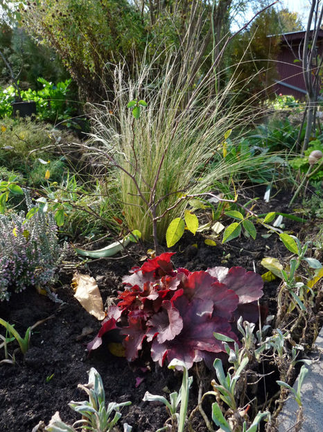  - 2022 - 03 - Toamna