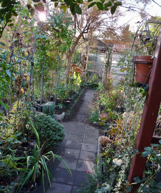  - 2022 - 03 - Toamna