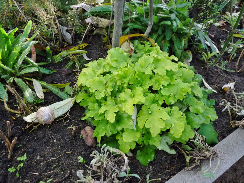  - 2022 - 03 - Toamna