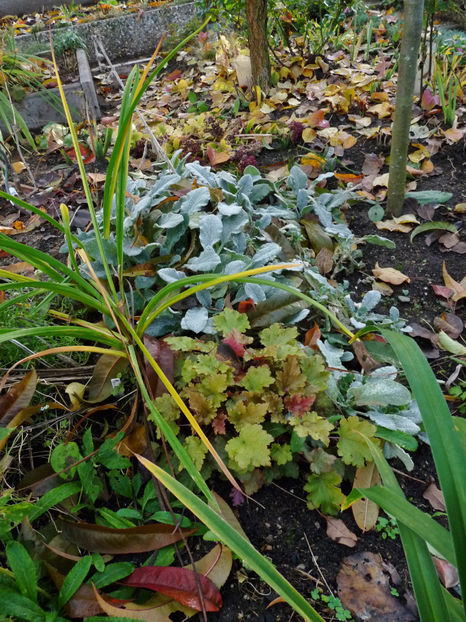  - 2022 - 03 - Toamna