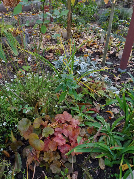  - 2022 - 03 - Toamna