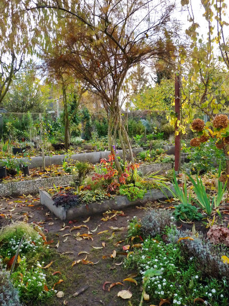  - 2022 - 03 - Toamna