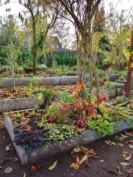  - 2022 - 03 - Toamna