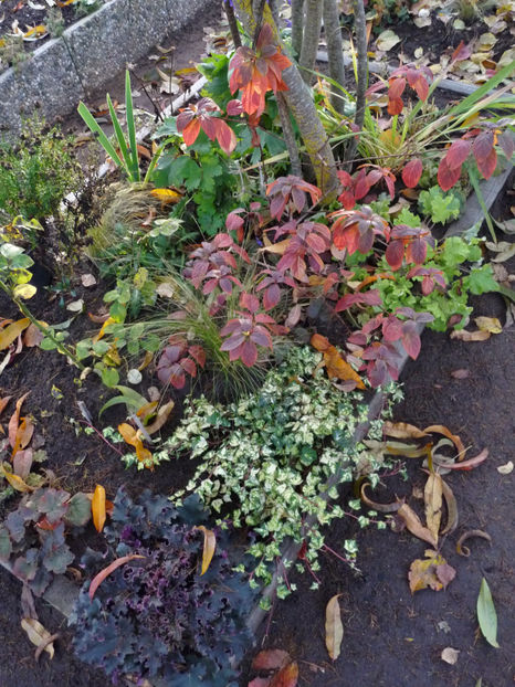  - 2022 - 03 - Toamna