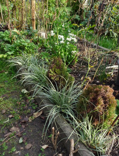  - 2022 - 03 - Toamna