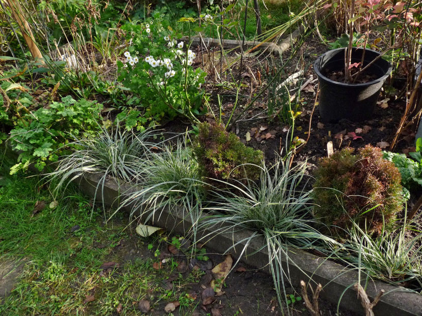  - 2022 - 03 - Toamna