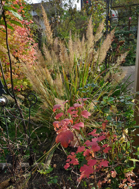  - 2022 - 03 - Toamna