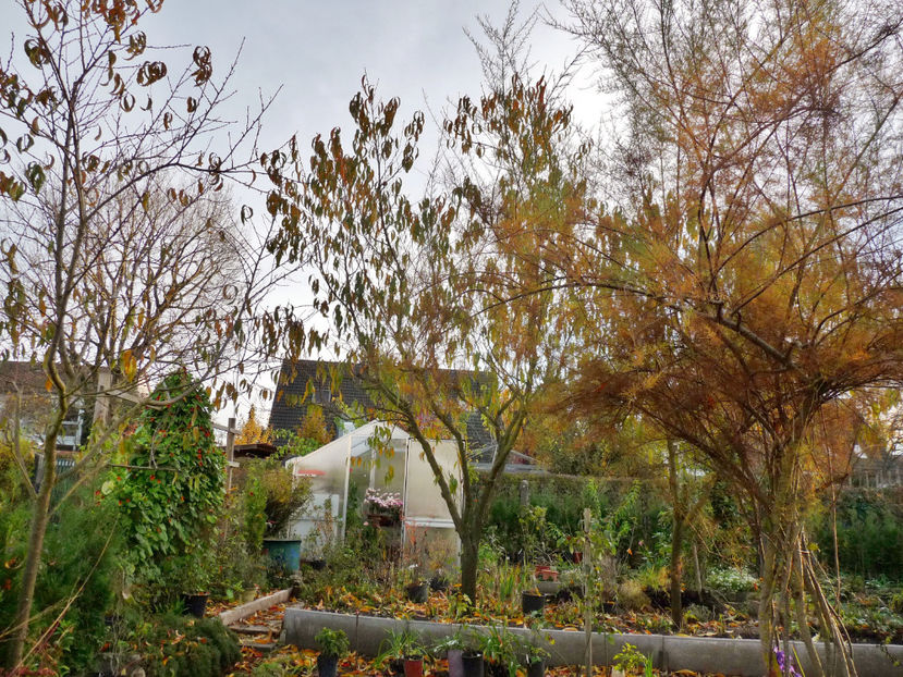  - 2022 - 03 - Toamna