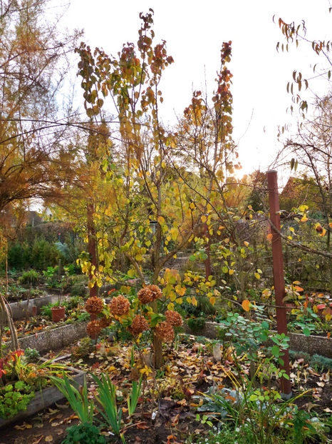  - 2022 - 03 - Toamna