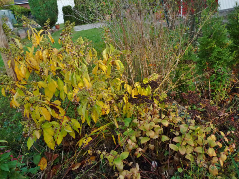  - 2022 - 03 - Toamna