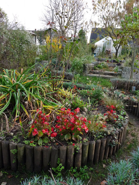  - 2022 - 03 - Toamna