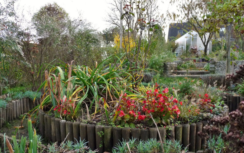  - 2022 - 03 - Toamna