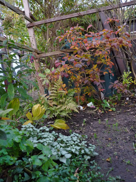  - 2022 - 03 - Toamna