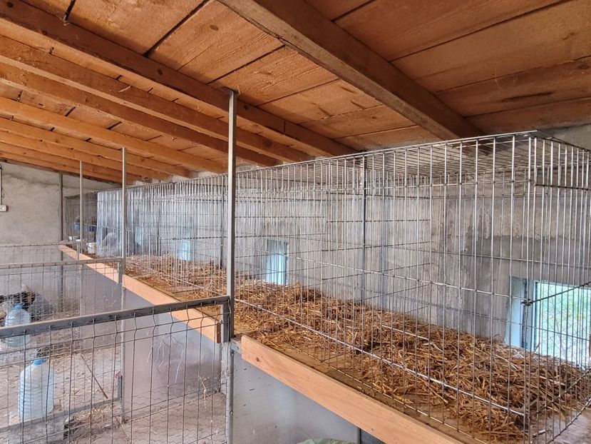  - A__Adapost pasari - camera iarna