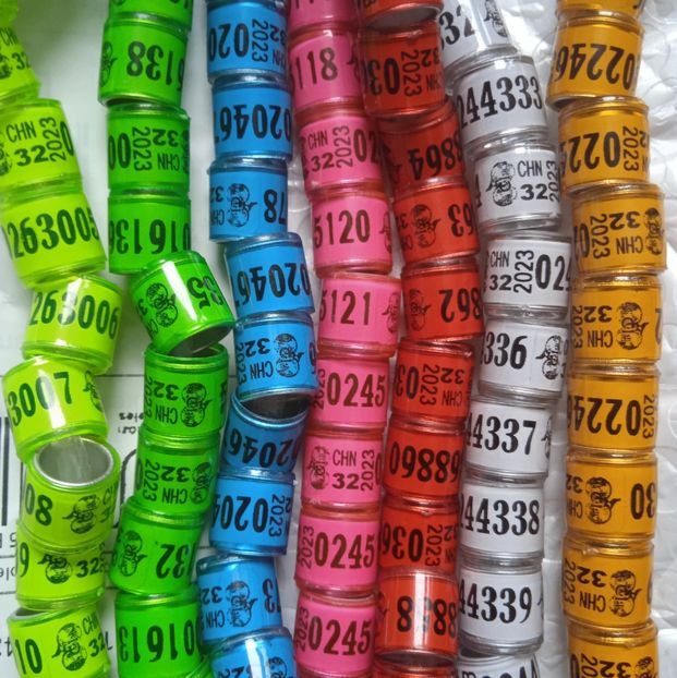 2023 - China fara talon ...-1 leu - Inele 2014