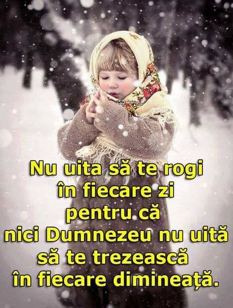  - citate dragute