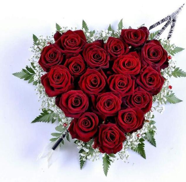 109904837_MGMBCWP3-1 - citate dragute