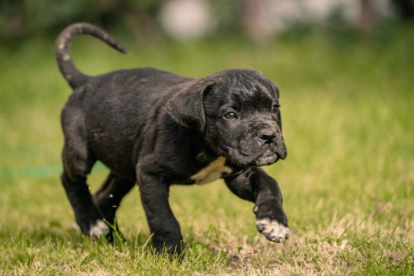 IMG-20221101-WA0036 - 06 VAND