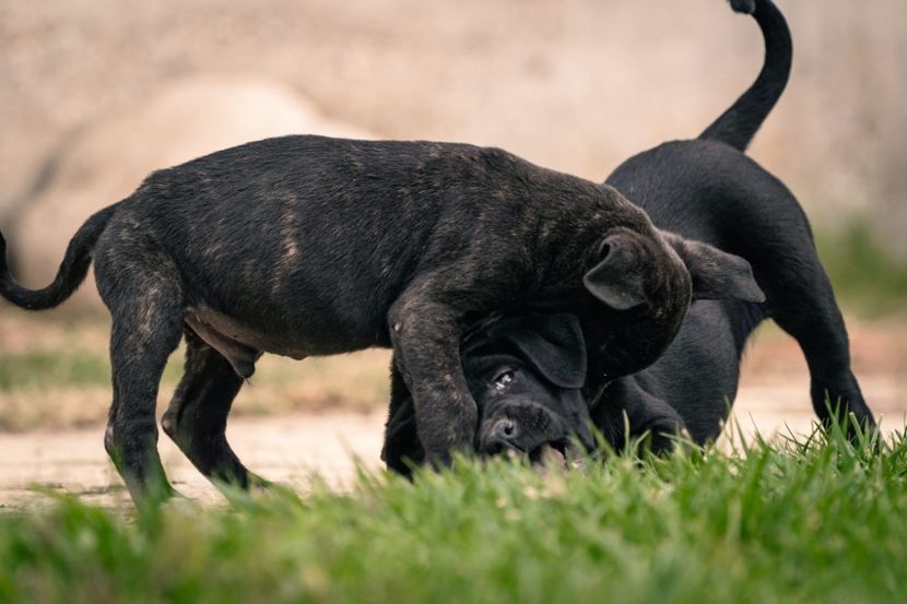 IMG-20221101-WA0033 - 06 VAND