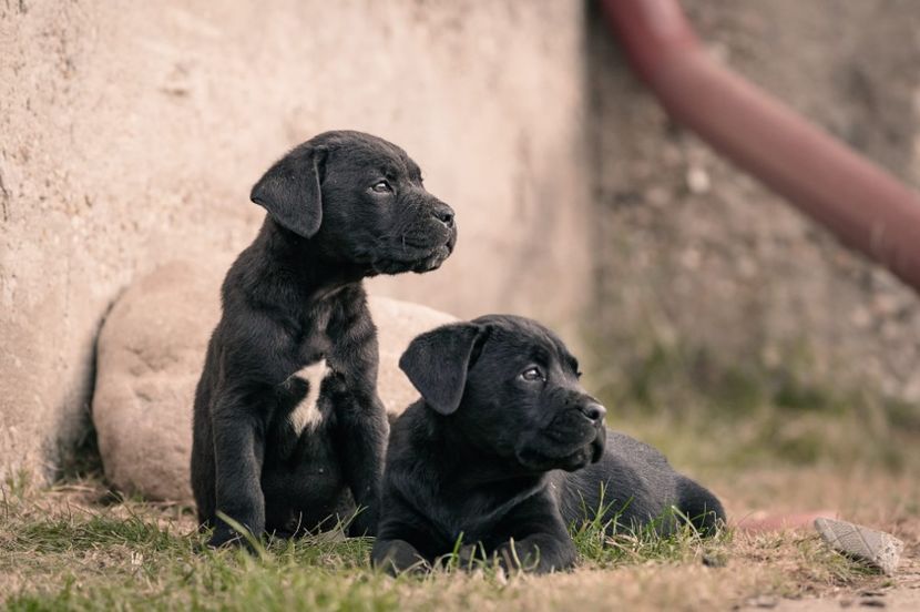 IMG-20221101-WA0014 - 06 VAND