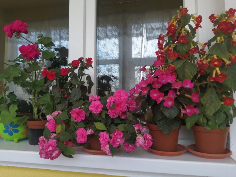  - Frumuseti la casa parinteasca