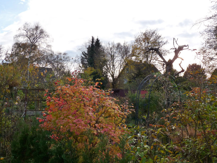  - 2022 - 03 - Toamna