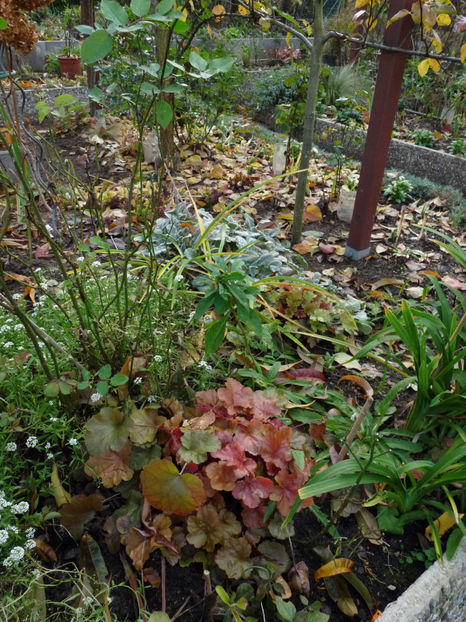  - 2022 - 03 - Toamna