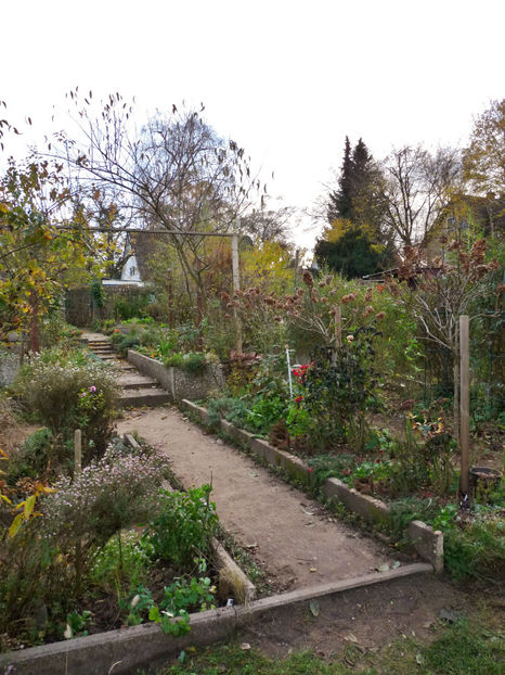  - 2022 - 03 - Toamna